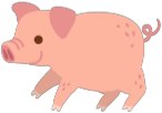 動物