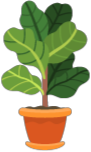 植物